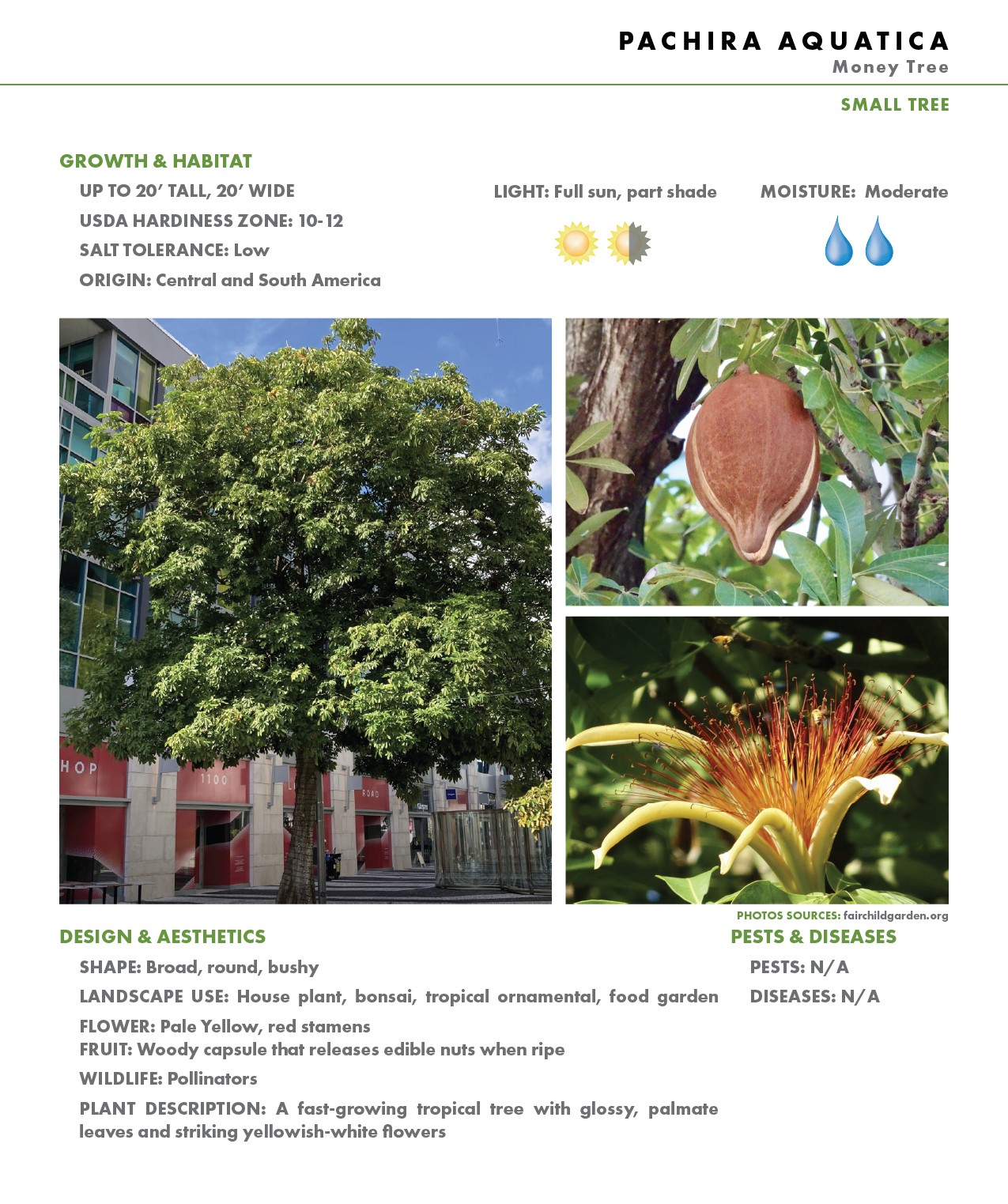 March 2025 post – POM2