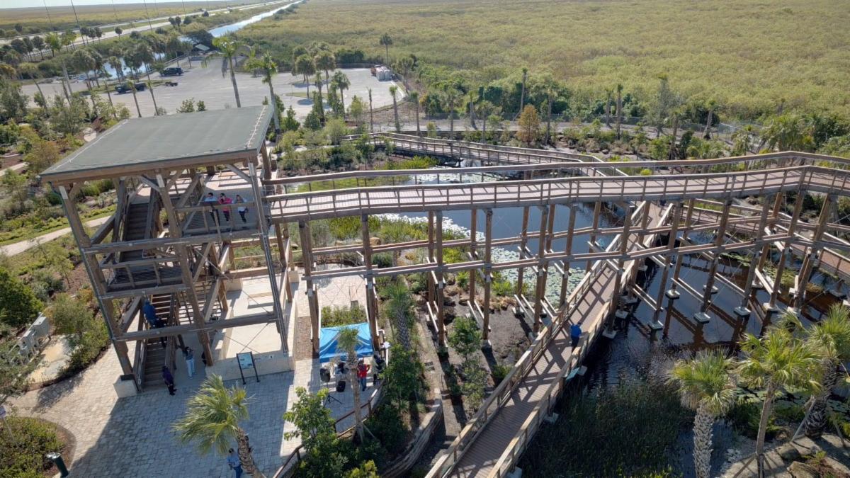 alligator alley 4